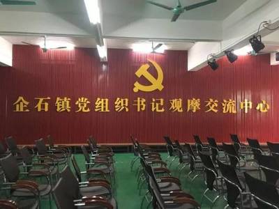 党建共融促发展——东莞市民协与民营企业党支部联合举办大型党建交流活动